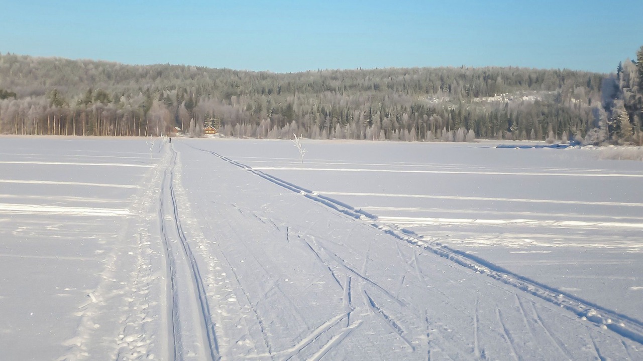 Photo of Others in Nurmes