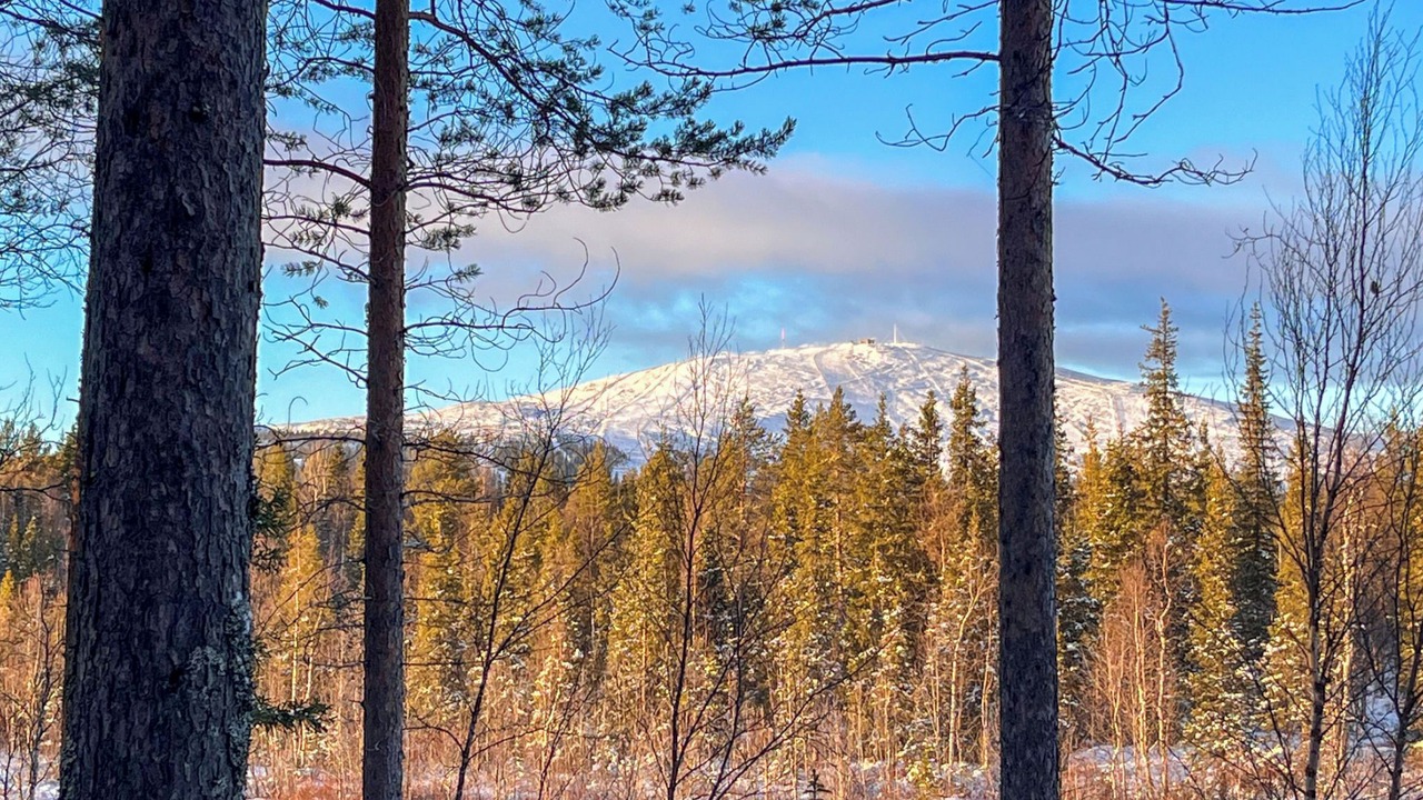 Photo of Others in Yllasjarvi