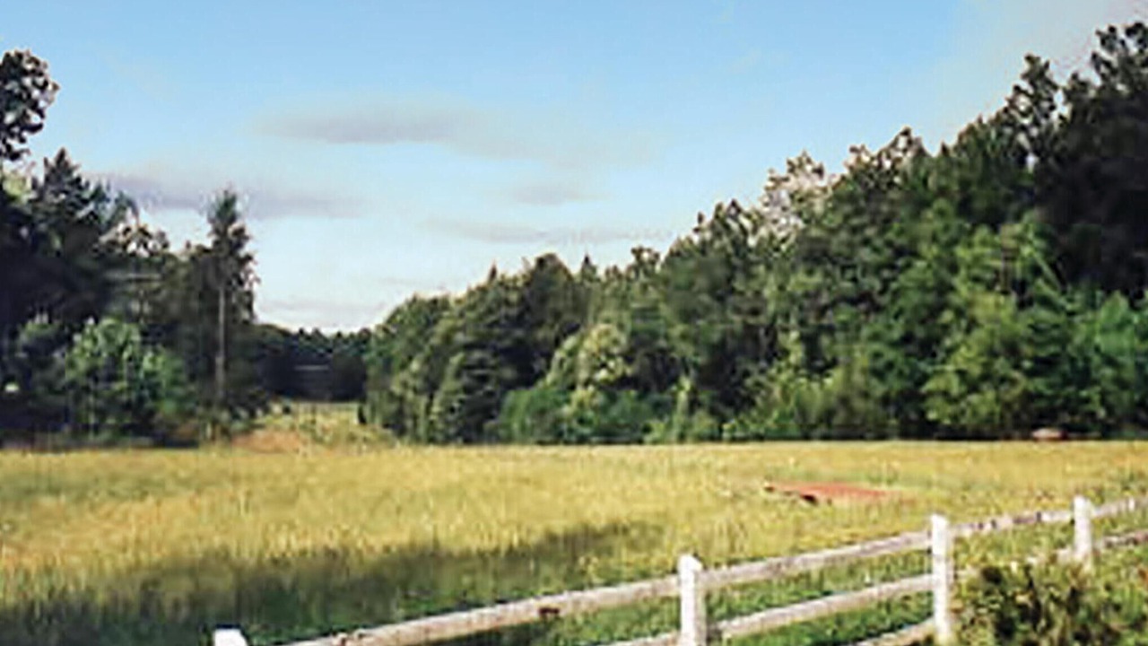 Photo of Others in Hultsfred