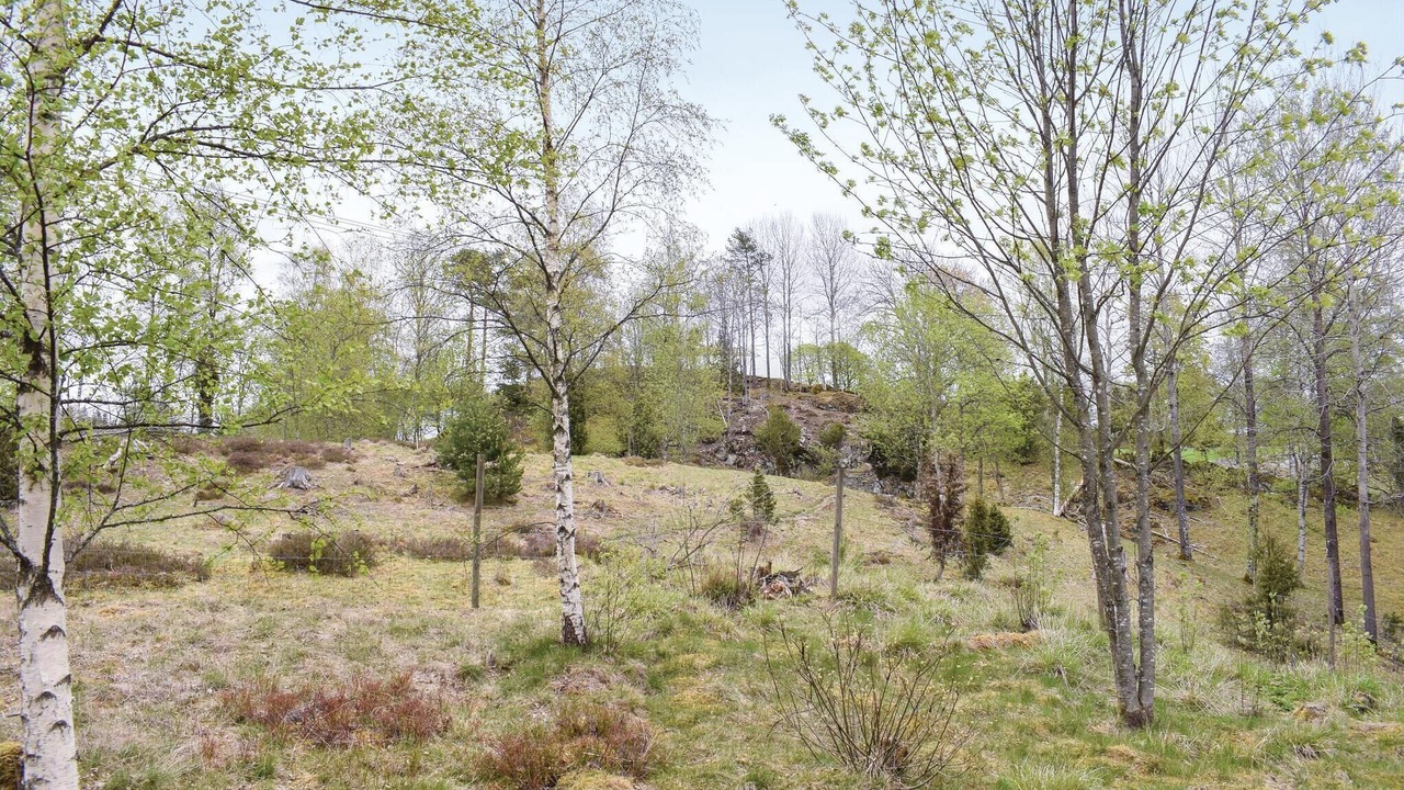 Photo of Others in Bodafors