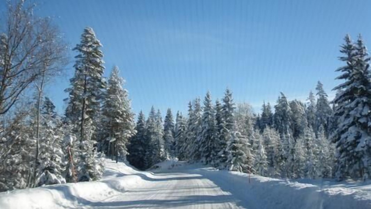 Photo of Outdoor in Nossemark