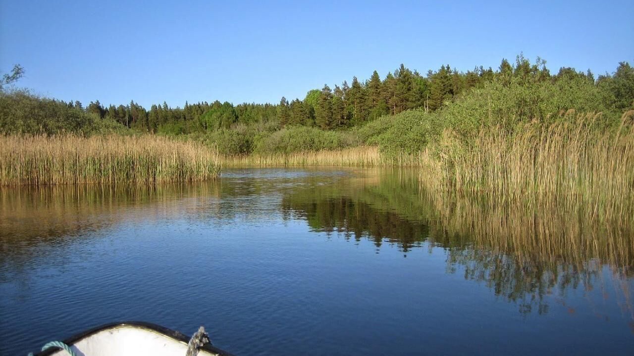 Photo of Others in Hultsfred Municipality