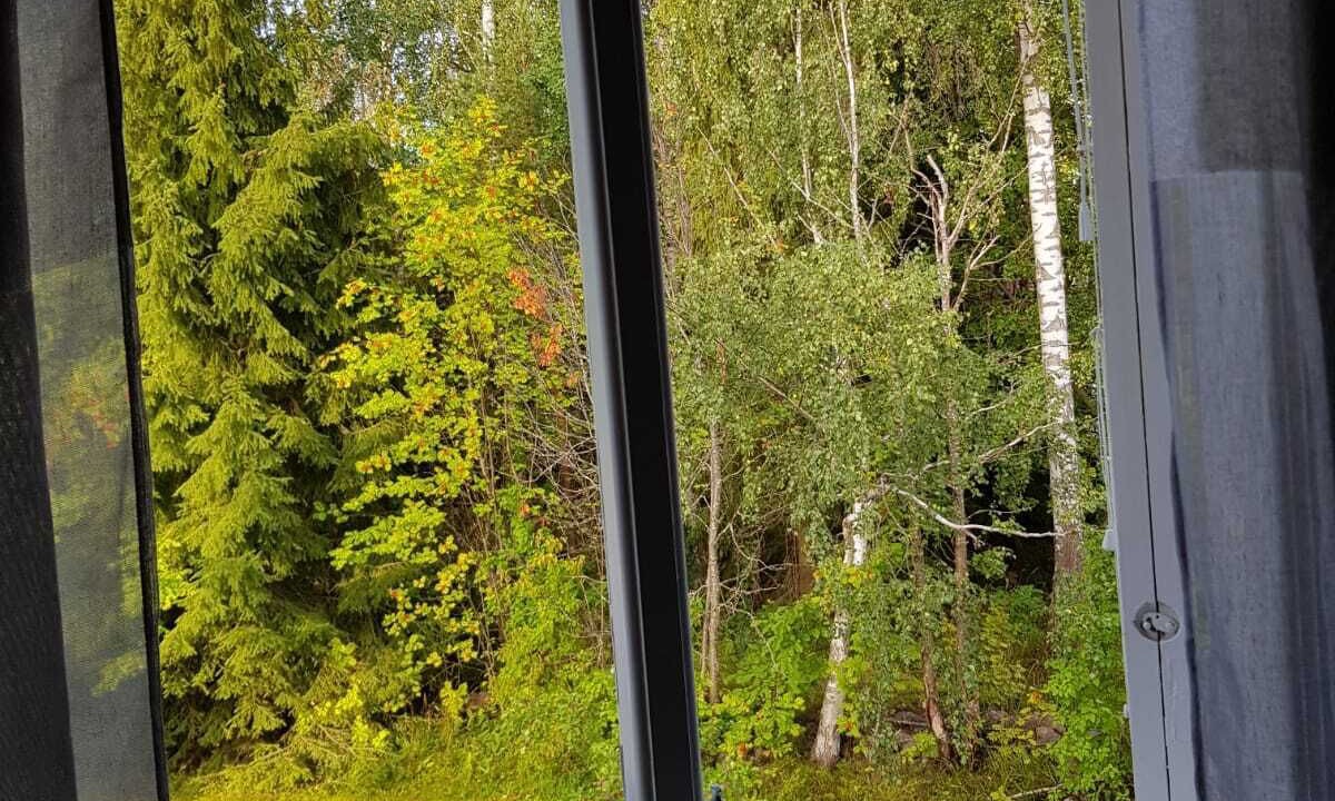 Photo of Others in Sandviken