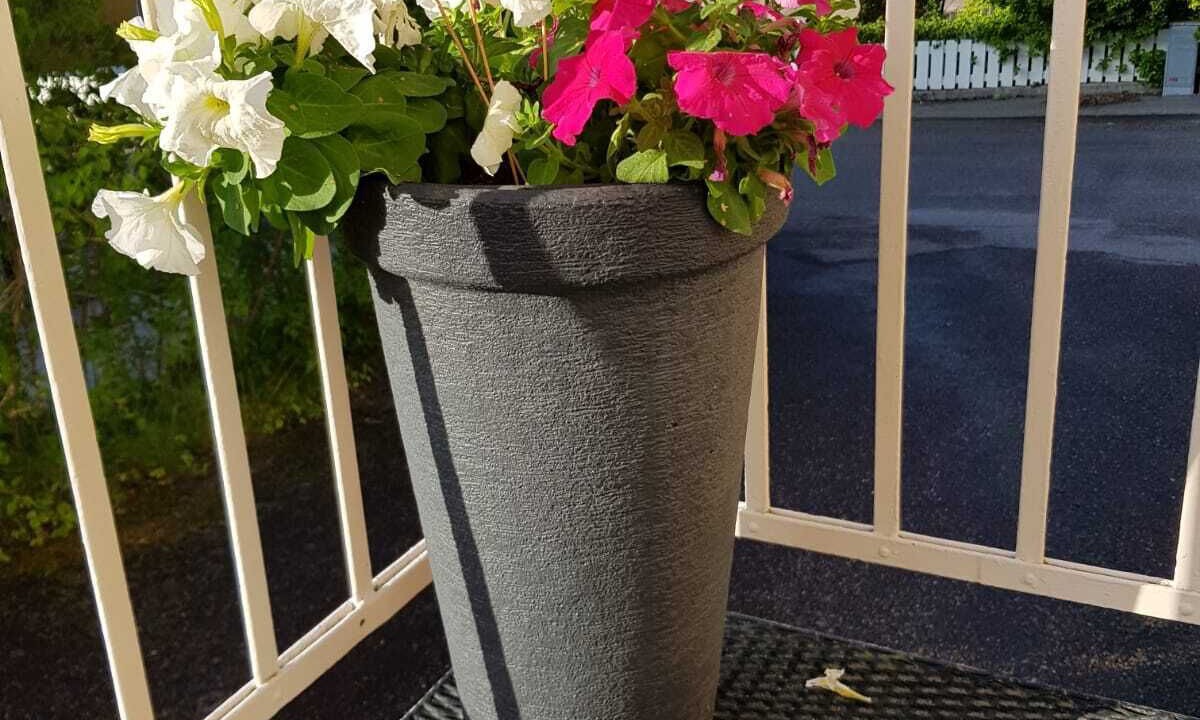 Photo of Outdoor in Sandviken