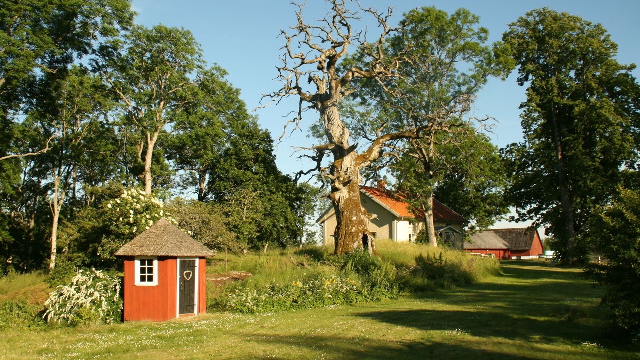 Photo of Outdoor in Vaxjo Municipality