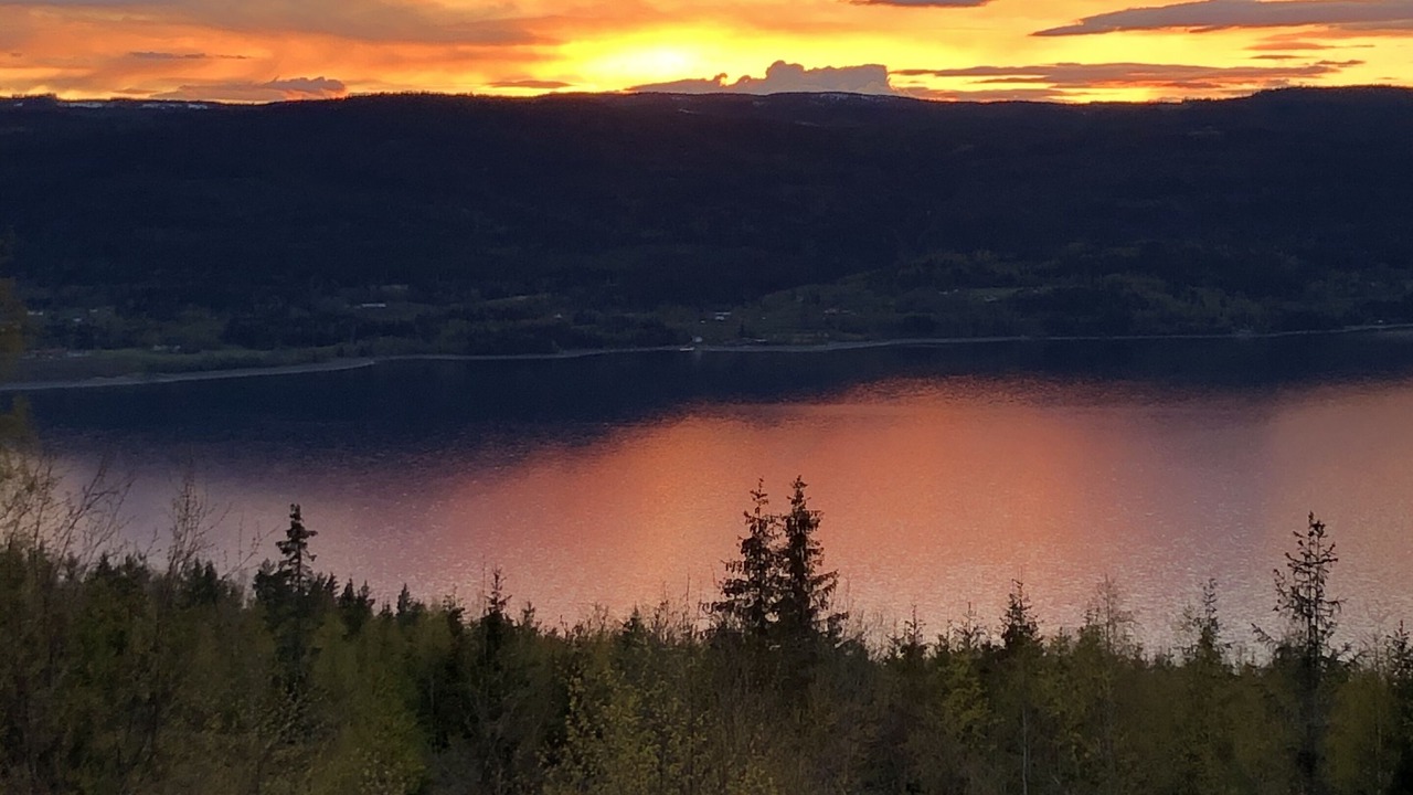 Photo of Outdoor in Hurdal Municipality