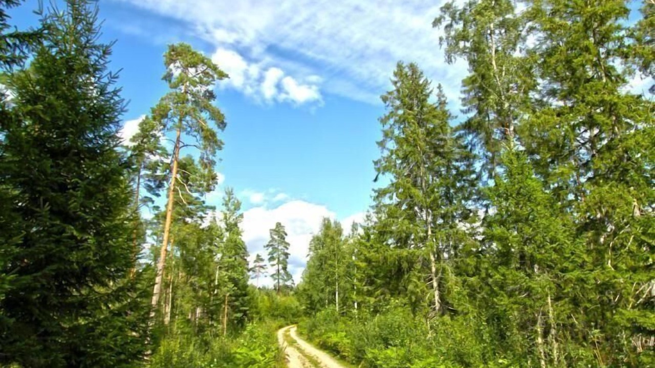 Photo of Others in Vrigstad