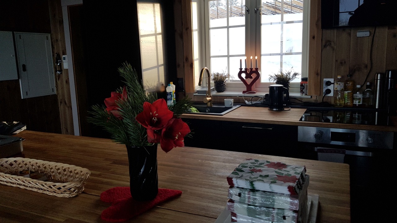 Photo of Kitchen in Hurdal Municipality