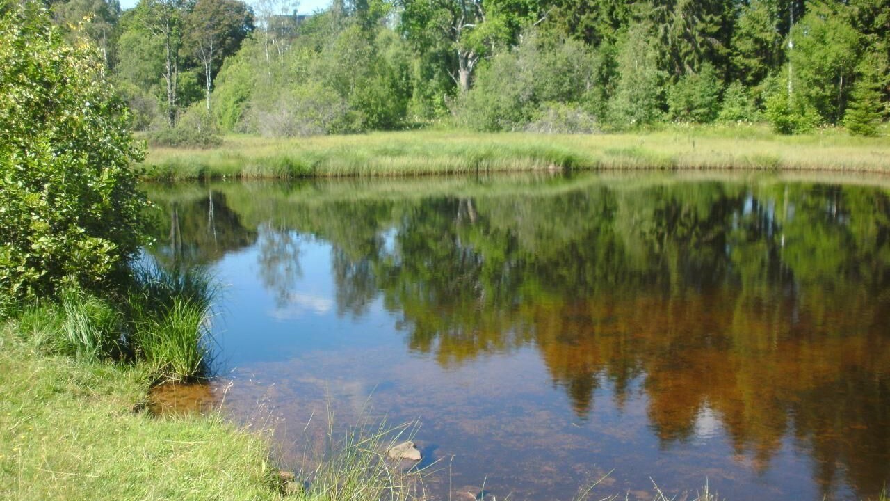Photo of Outdoor in Alstermo