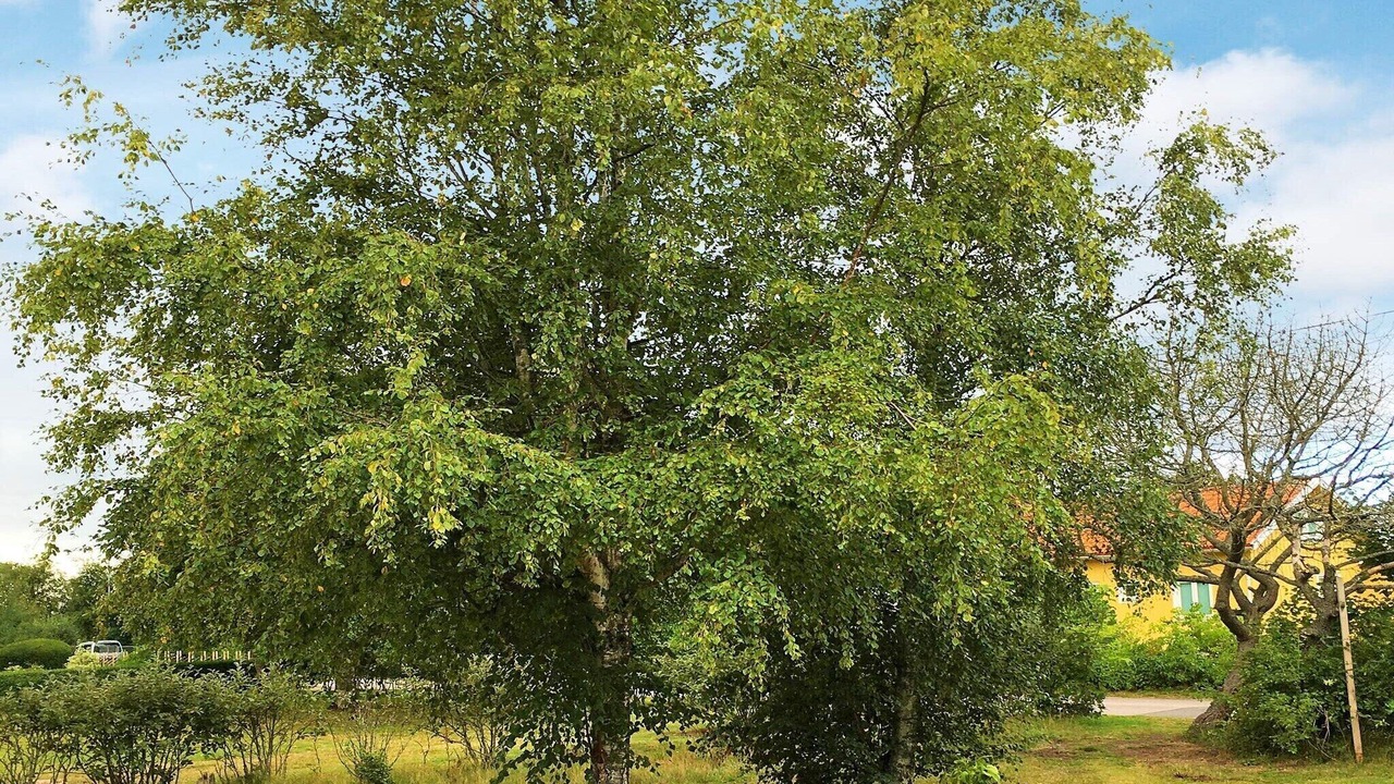 Photo of Outdoor in Haverdal