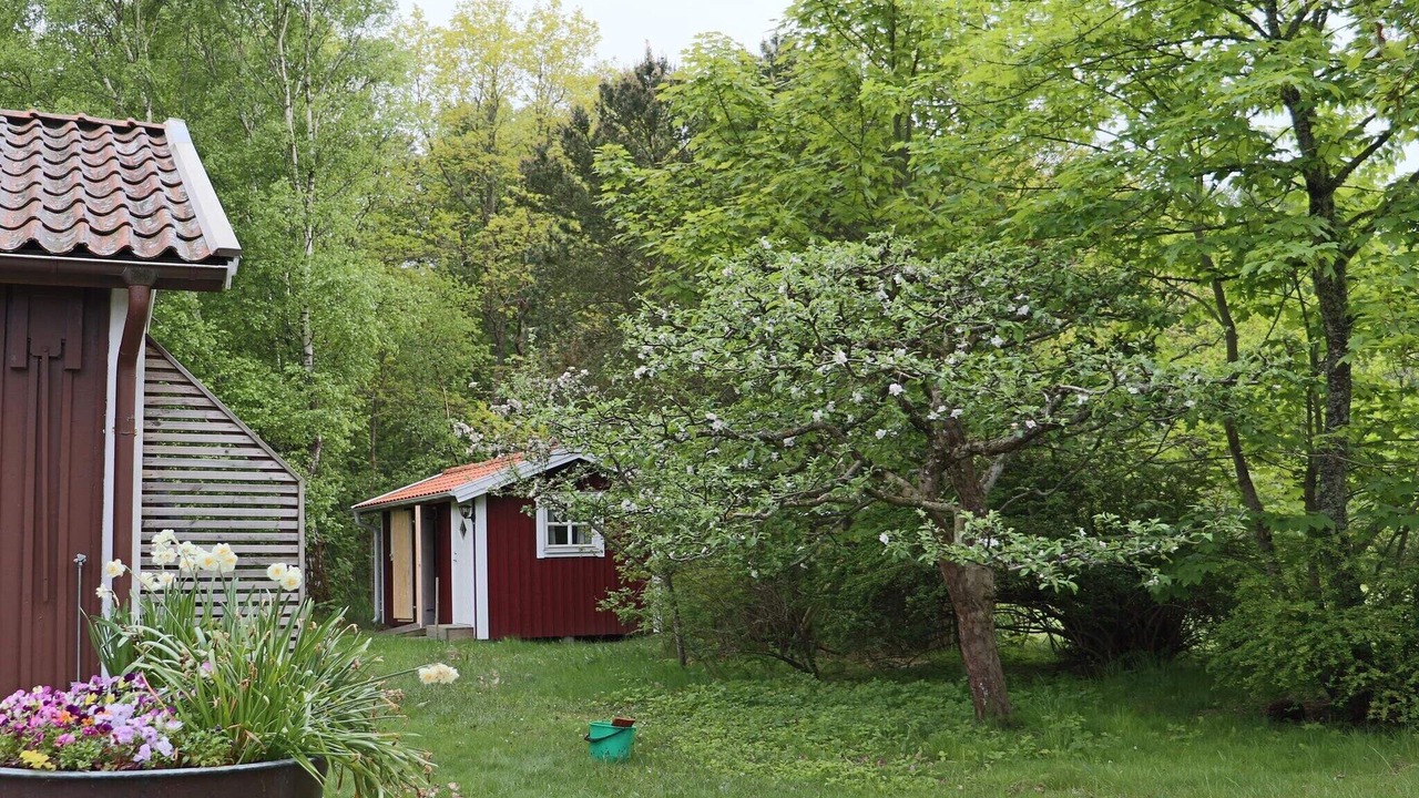 Photo of Outdoor in Haverdal