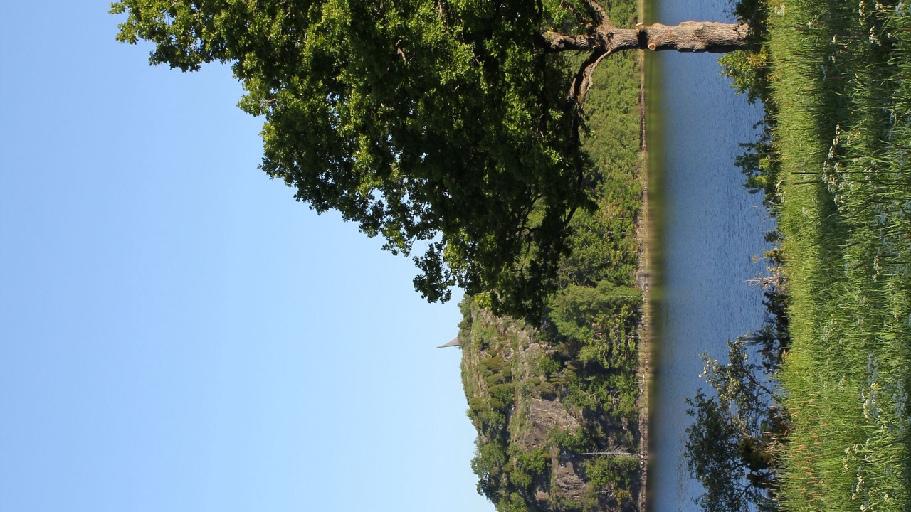 Photo of Others in Valdemarsvik