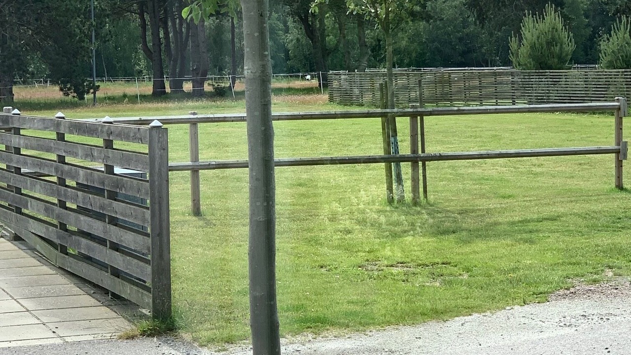Photo of Outdoor in Skanor
