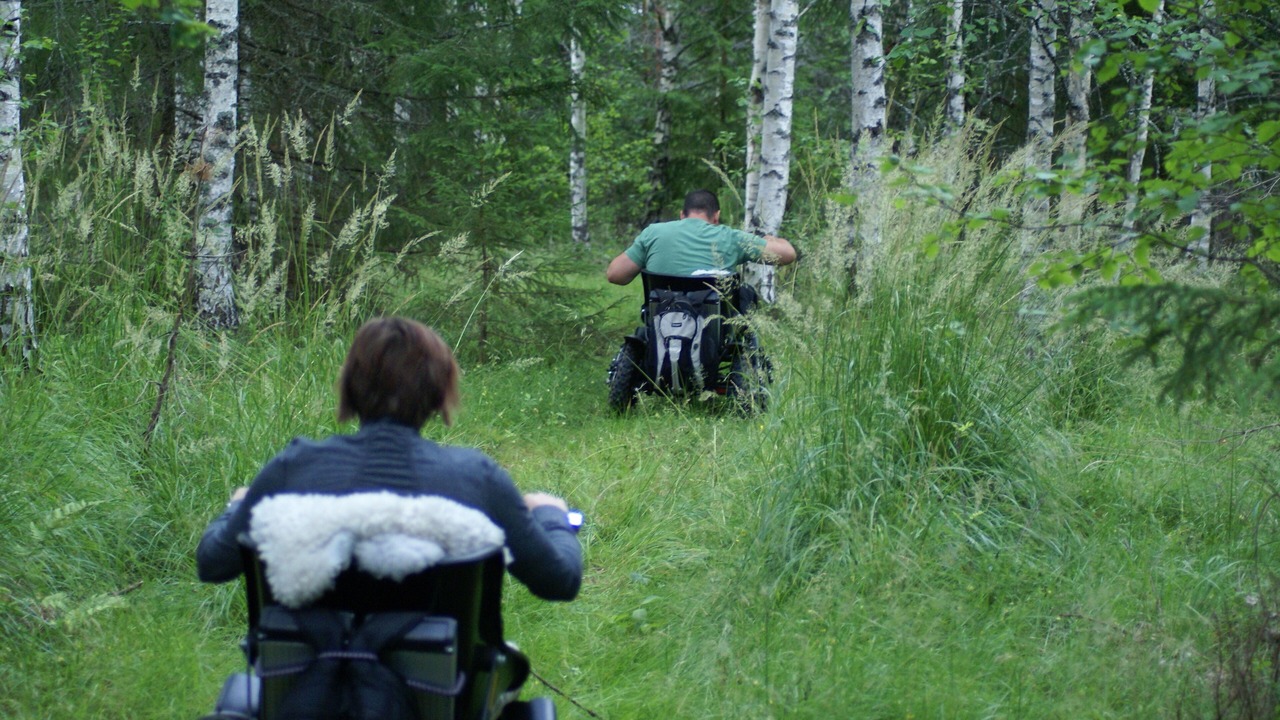 Photo of Outdoor in Krylbo