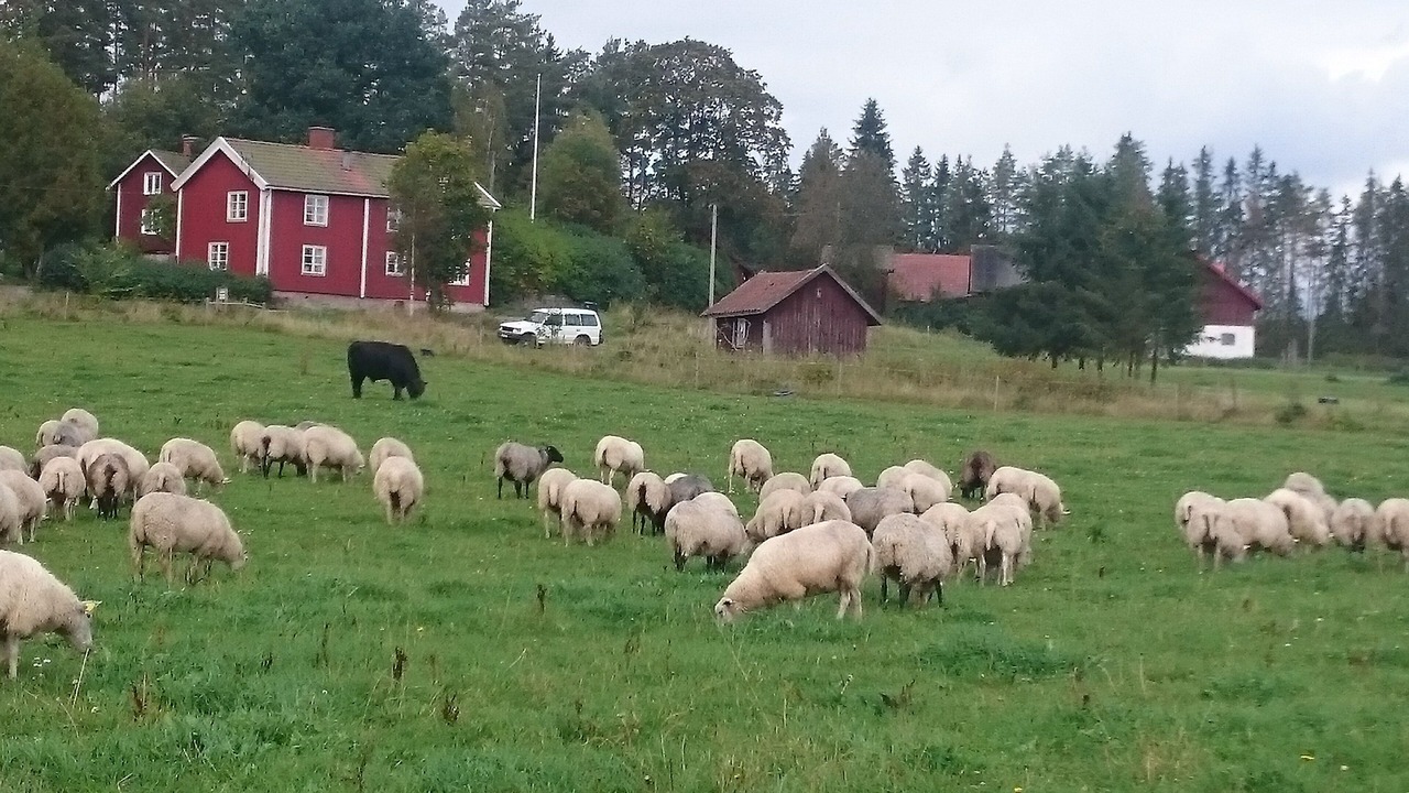 Photo of Outdoor in Krylbo