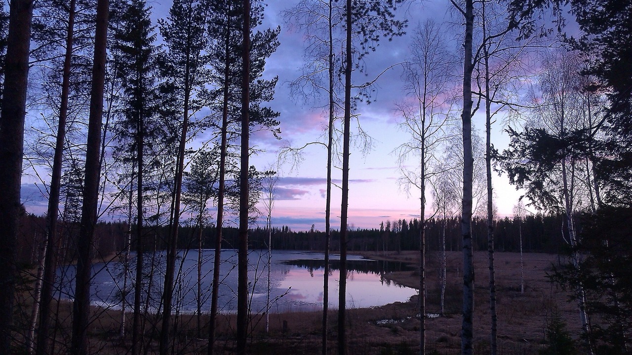 Photo of Others in Hällfors