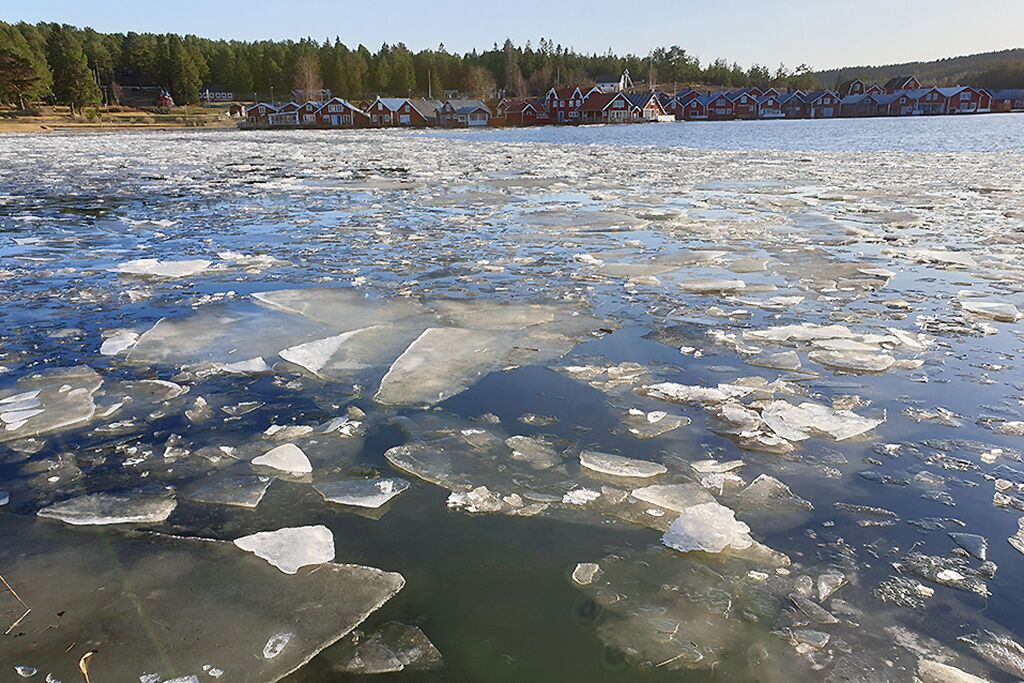 Photo of Others in Mjallom