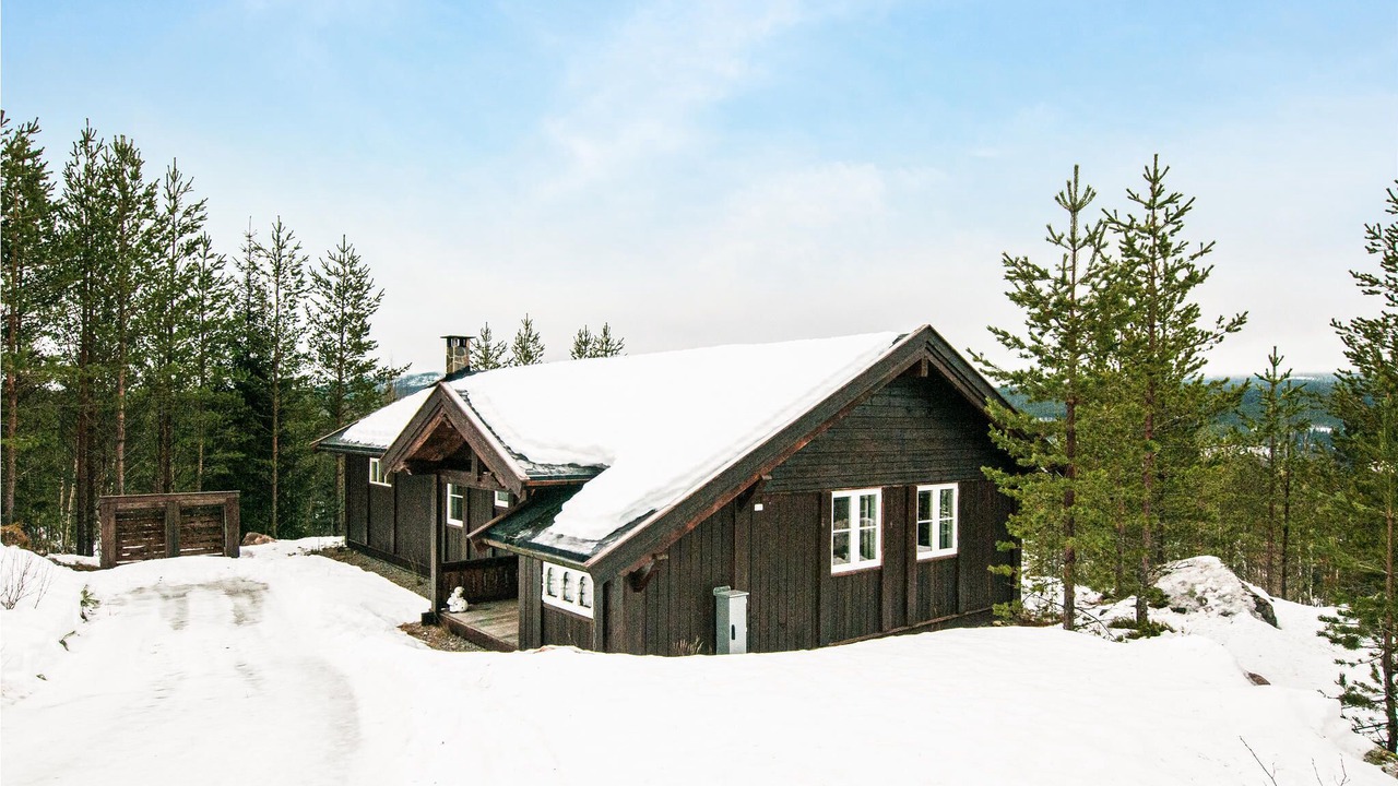 Photo of Others in Trysil