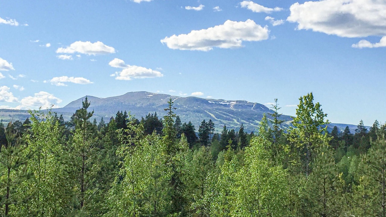 Photo of Others in Trysil