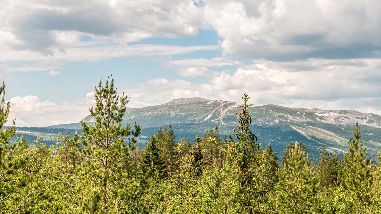Photo of Others in Trysil