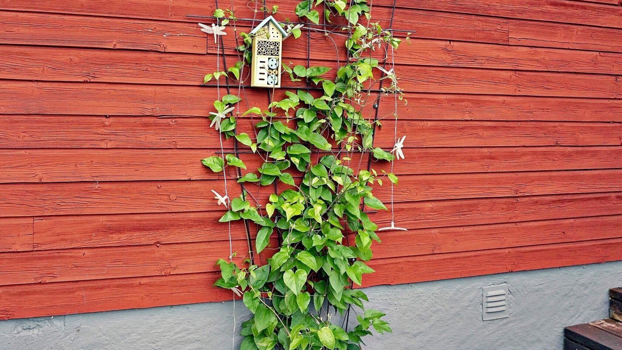 Photo of Outdoor in Undal