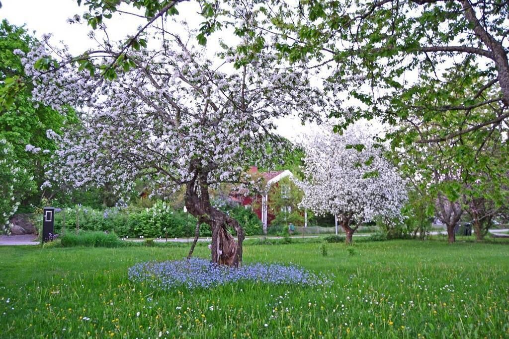 Photo of Outdoor in Morlunda