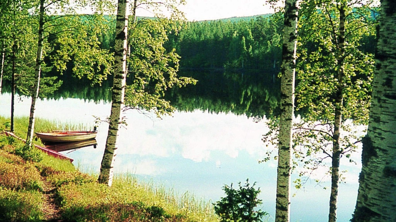 Photo of Others in Marbacken