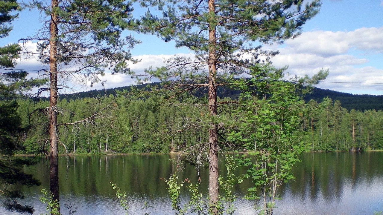 Photo of Others in Marbacken
