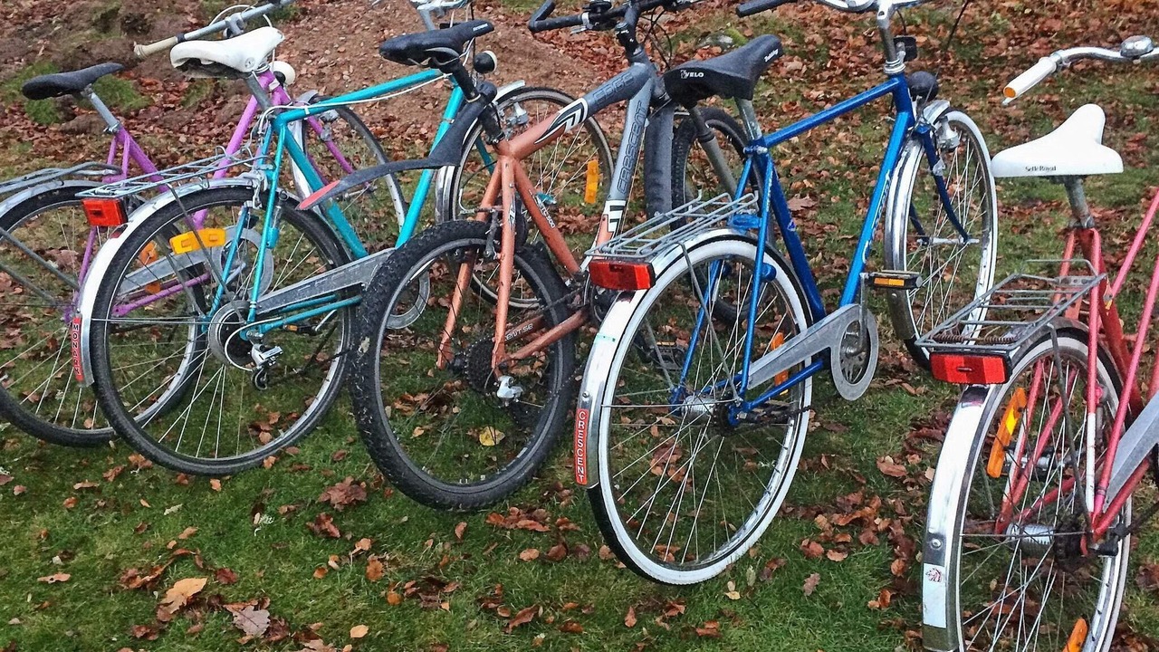 Photo of Others in Ronneby