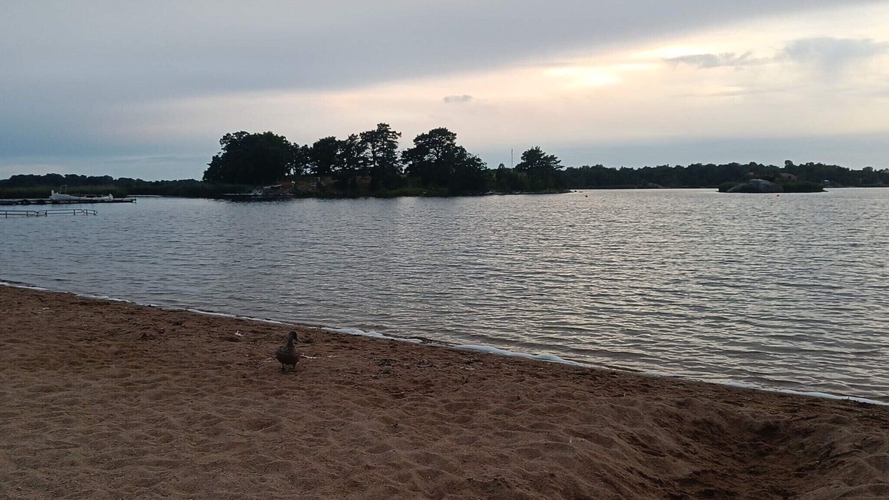Photo of Others in Ronneby