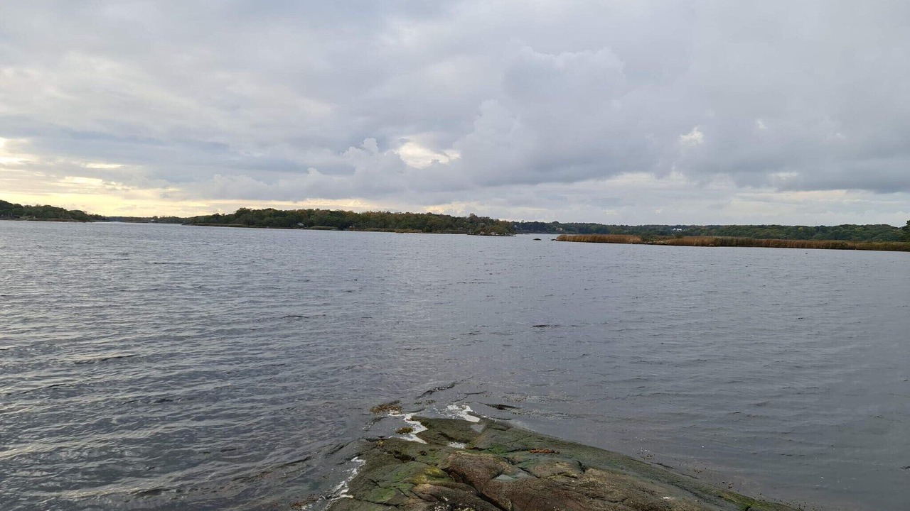 Photo of Others in Ronneby