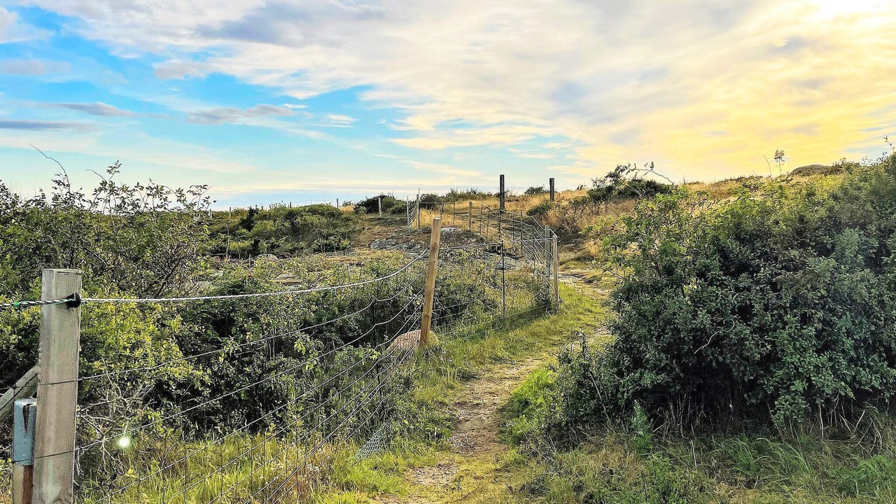 Photo of Outdoor in Ockero