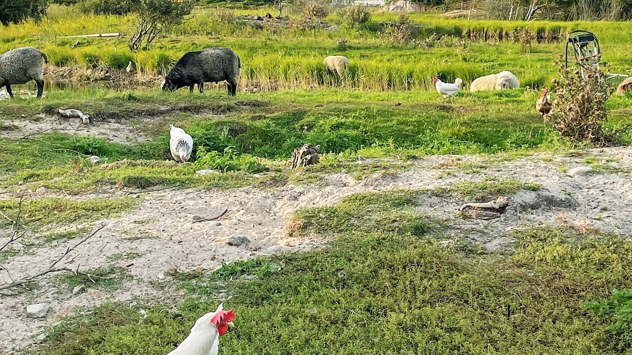Photo of Outdoor in Ockero