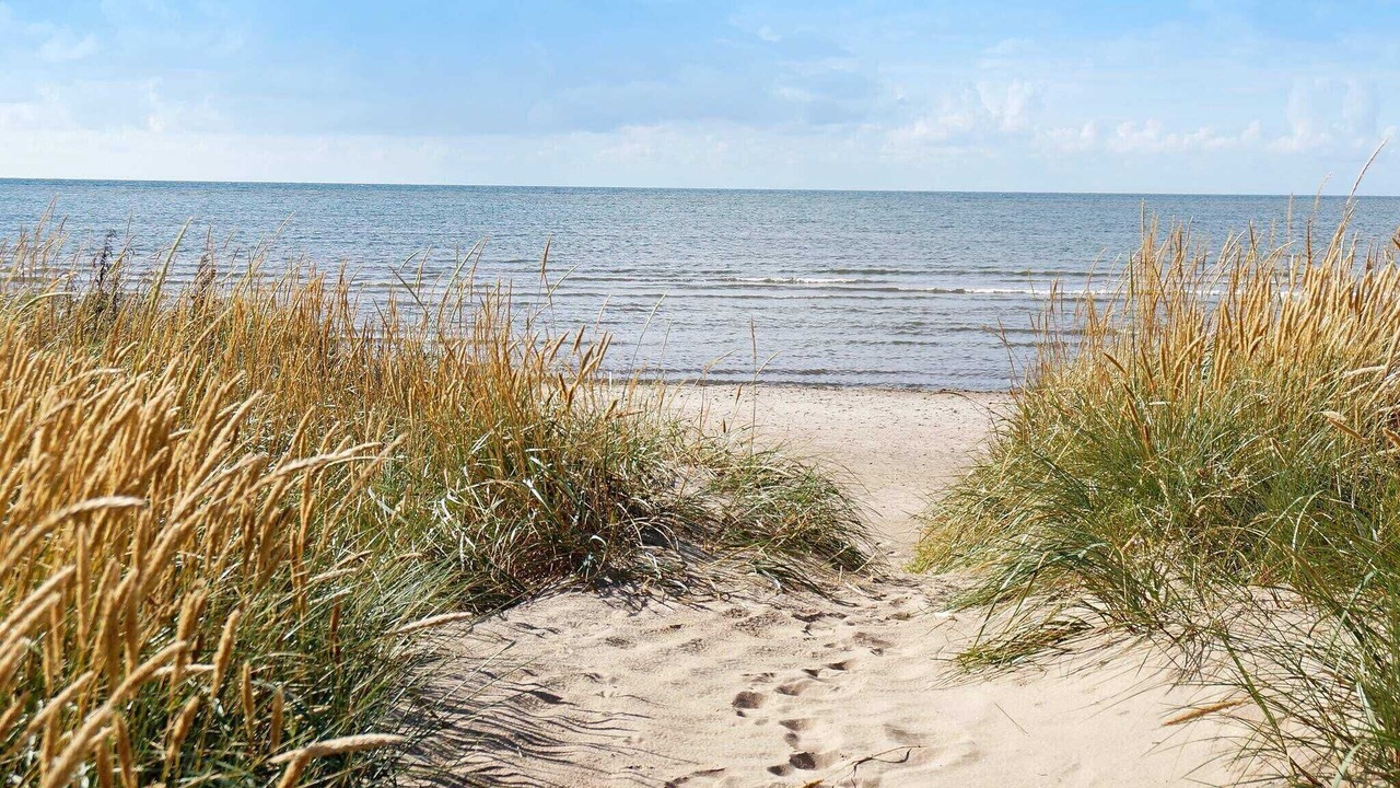 Photo of Others in Falkenberg