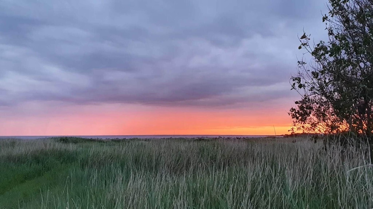 Photo of Others in Falkenberg