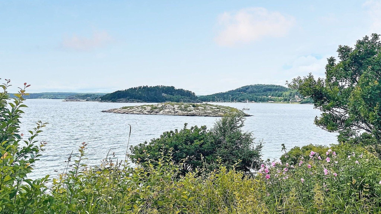 Photo of Others in Ljungskile