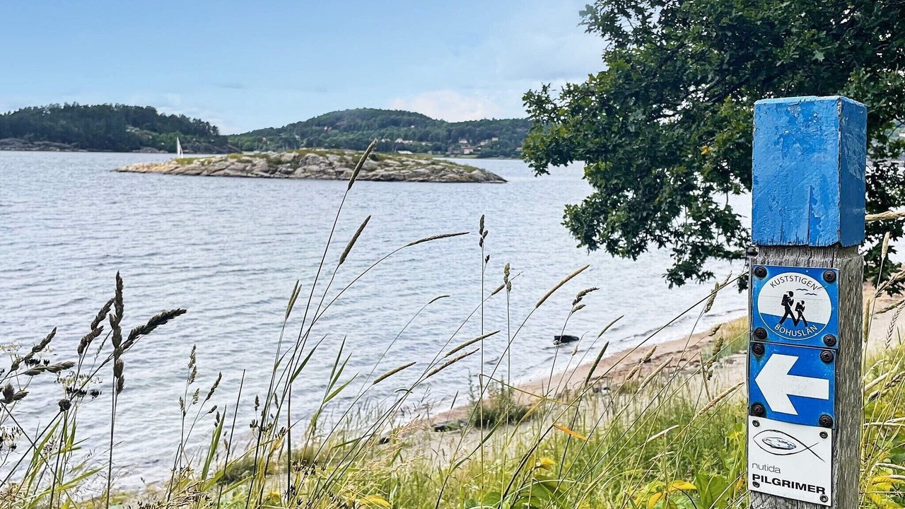 Photo of Others in Ljungskile