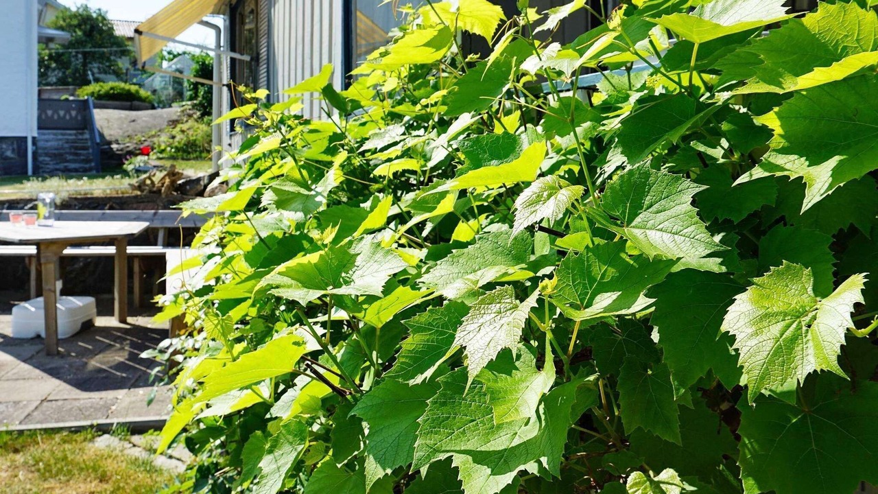 Photo of Outdoor in Hono