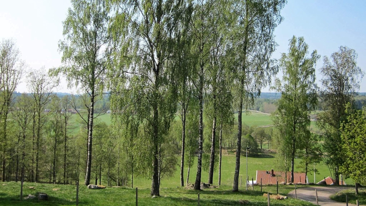 Photo of Others in Kungalv O