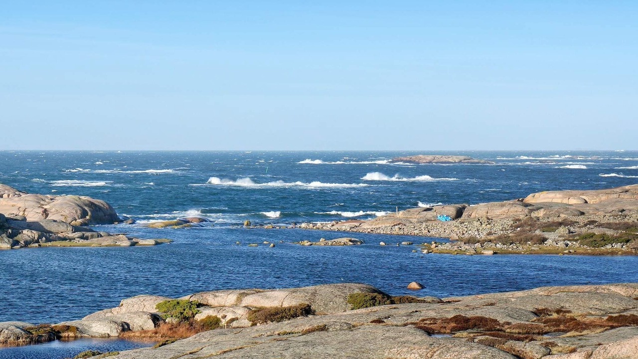 Photo of Others in Hamburgsund
