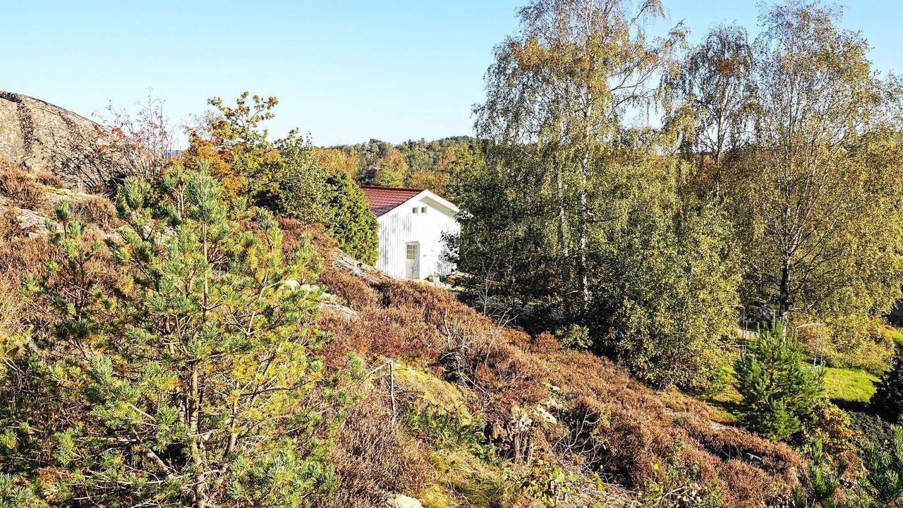 Photo of Outdoor in Klovedal
