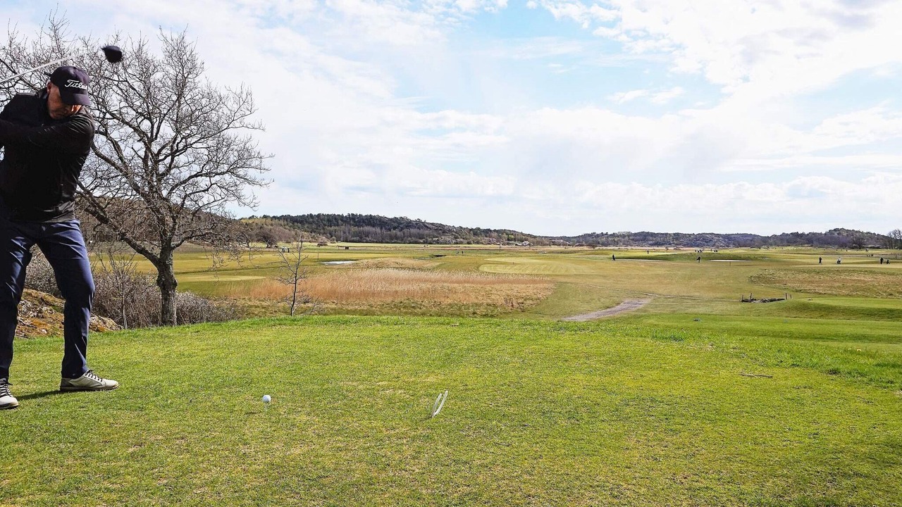 Photo of Others in Torslanda