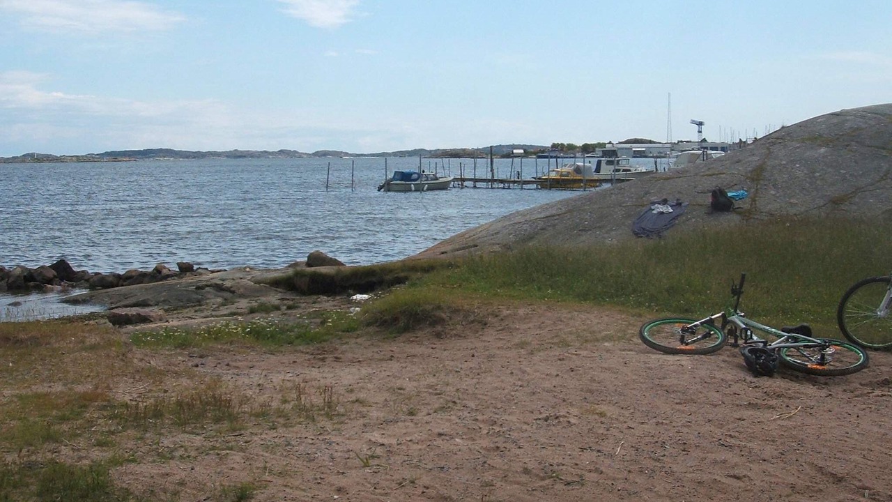 Photo of Others in Torslanda