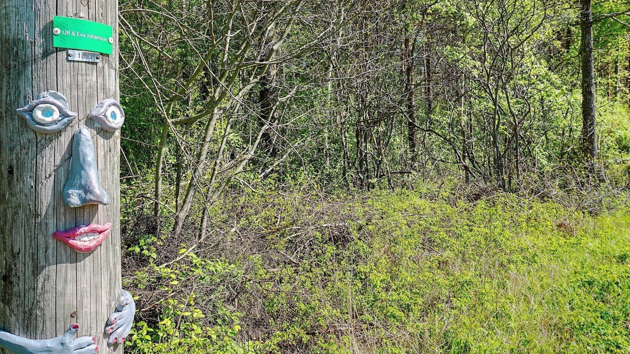Photo of Outdoor in Levide