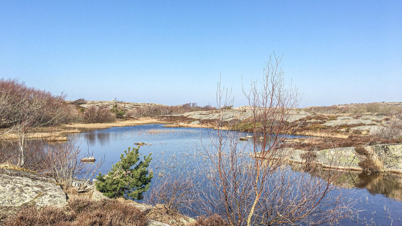 Photo of Others in Bohus-Malmon