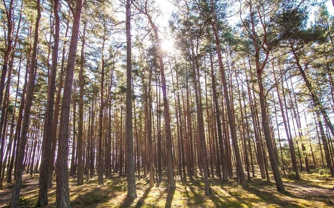 Photo of Outdoor in Yngsjo