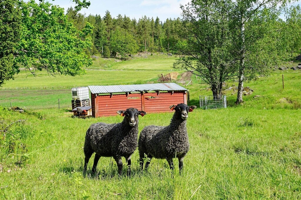Photo of Others in Flen