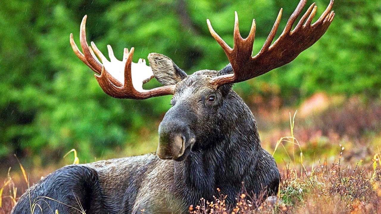 Photo of Outdoor in Stoten