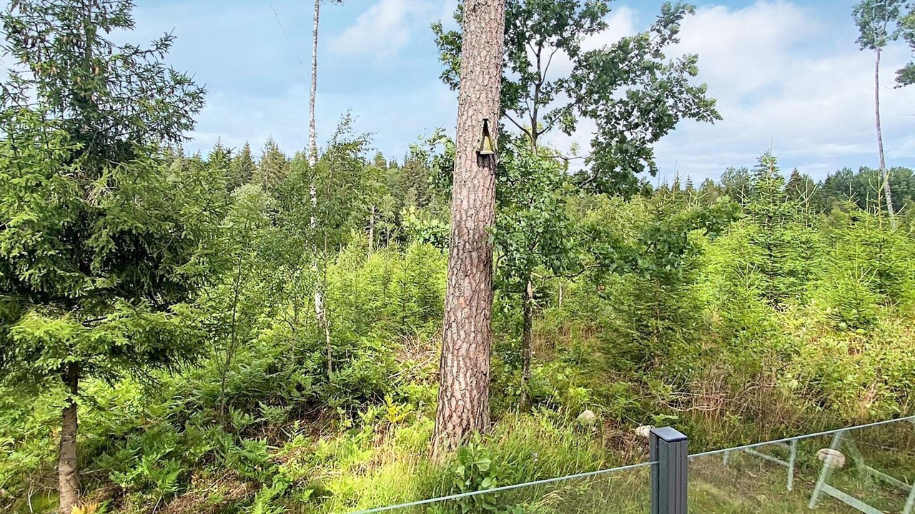 Photo of Outdoor in Tenhult