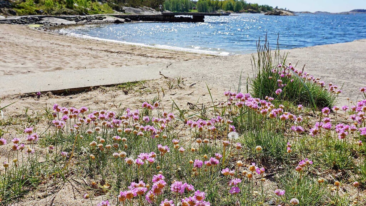 Photo of Others in Lokholmen